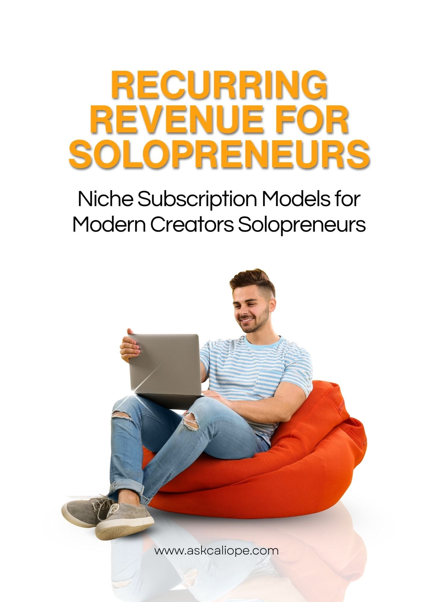 Niche Subscription Models for Modern Creators  Solopreneurs