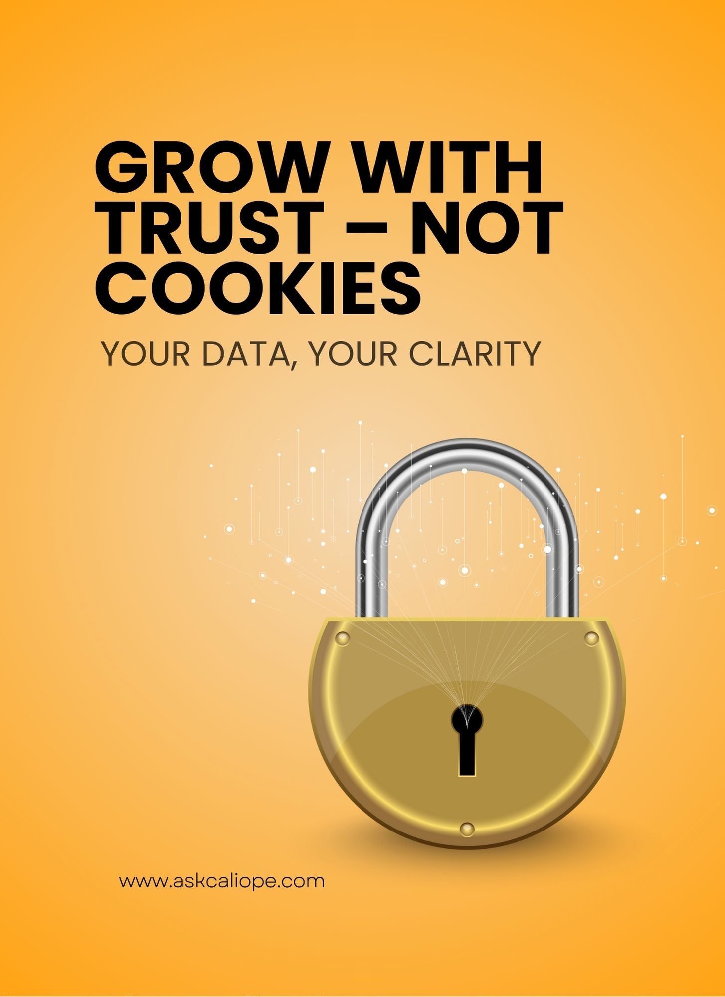 Privacy-First Marketing & First-Party Data Systems